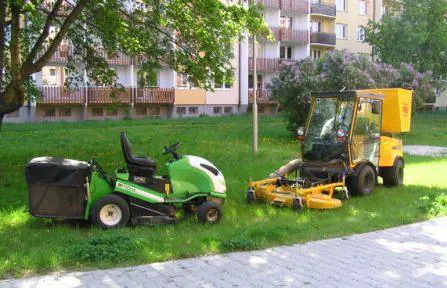 Maintenance of a public greenery 