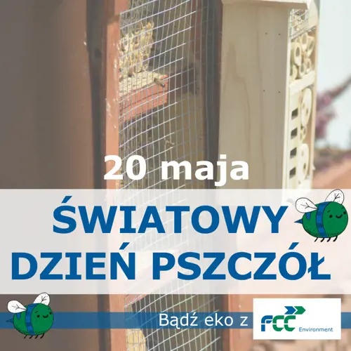 Światowy dzień pszczół
