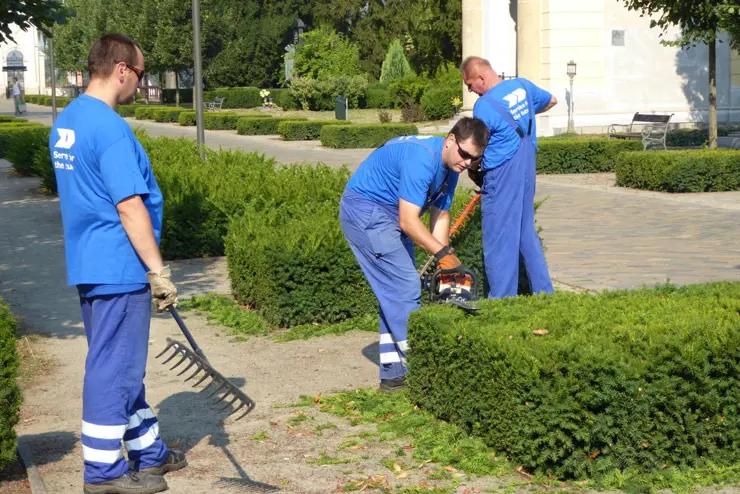 Cemetery management in Prostějov (CZ)