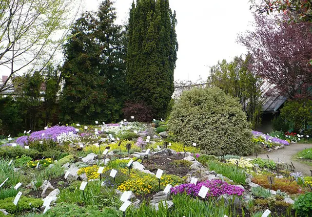 Maintenance of the botanical garden