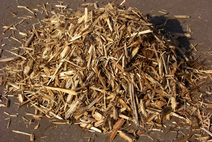 wood