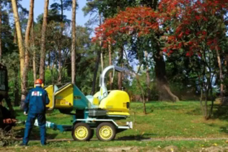 Parkápolás