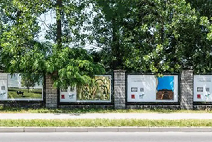 fcc galeria miejska