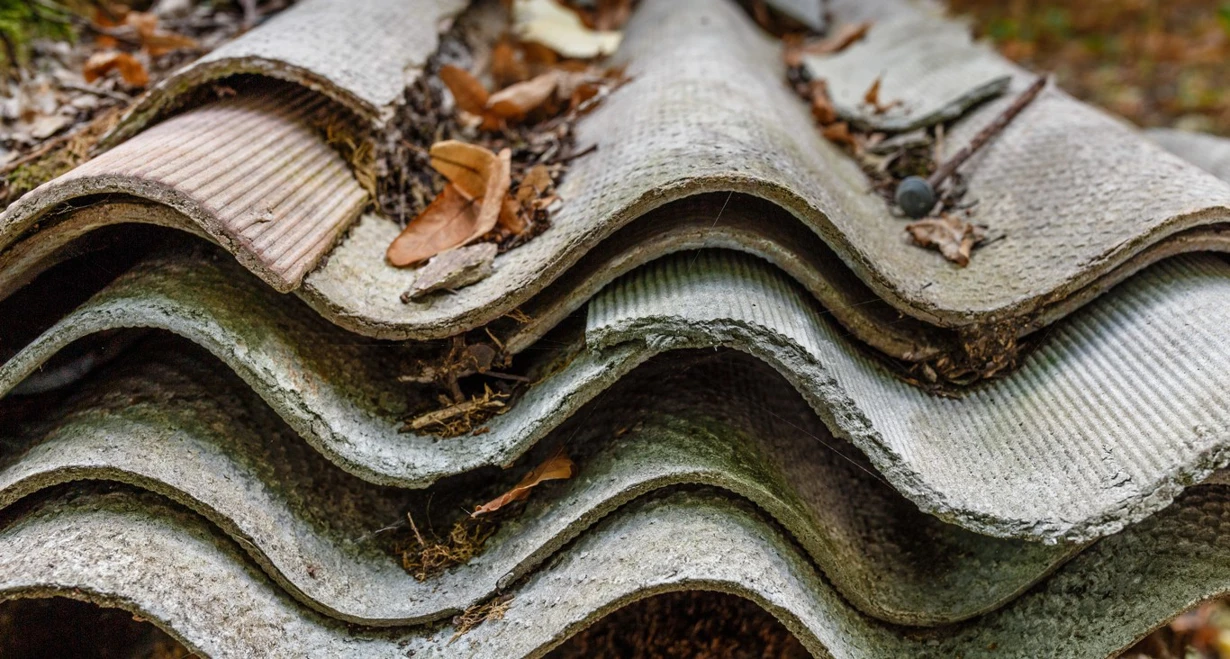 Asbestos in Daily Life