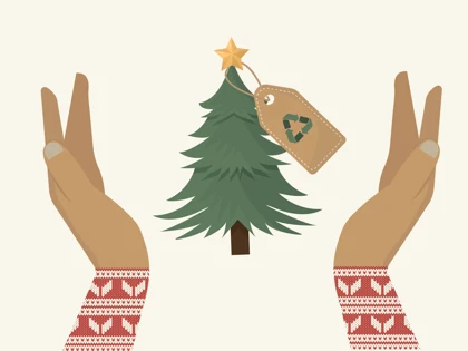 What to Do with Your Christmas Tree After the Holidays? Give It a Second Life