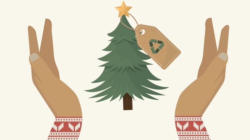 What to Do with Your Christmas Tree After the Holidays? Give It a Second Life