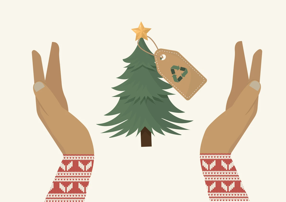 What to Do with Your Christmas Tree After the Holidays? Give It a Second Life