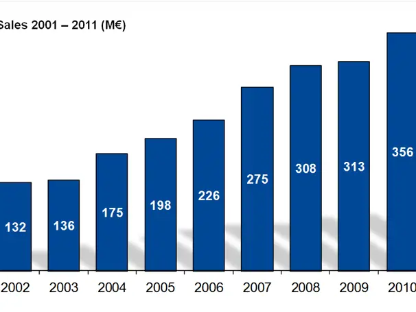 A successful year under difficult conditions