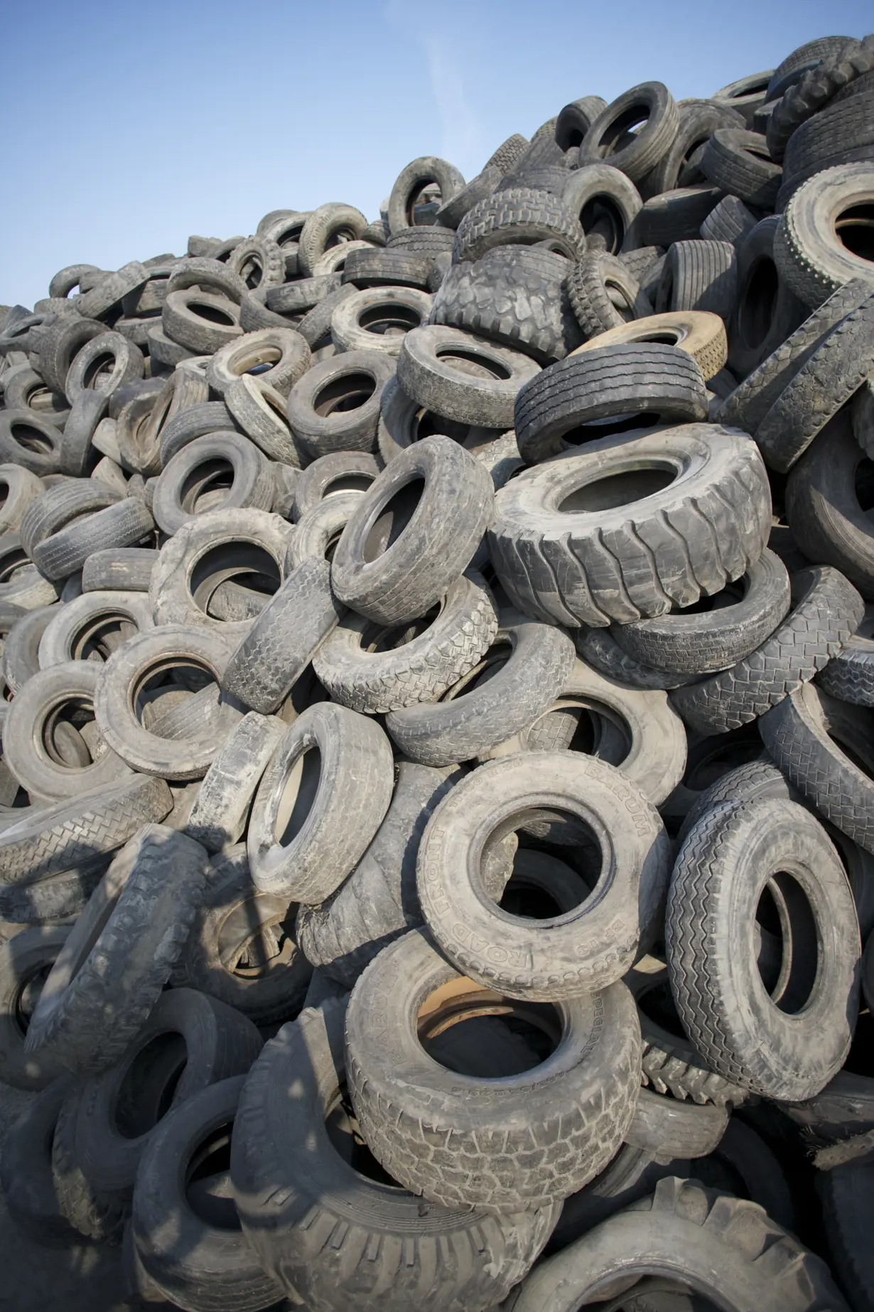 Recycled tires help sick children and horses