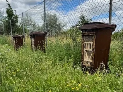 FCC Thermal Waste Treatment Plant in Zistersdorf (Austria) Supports Biodiversity with New Insect Houses