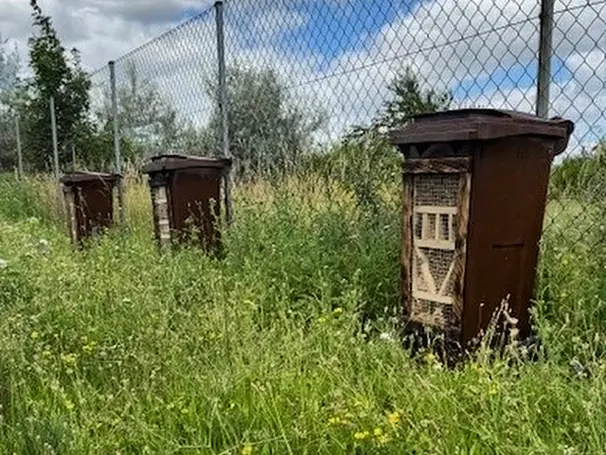 FCC Thermal Waste Treatment Plant in Zistersdorf (Austria) Supports Biodiversity with New Insect Houses