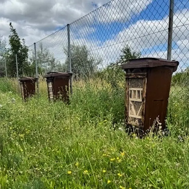FCC Thermal Waste Treatment Plant in Zistersdorf (Austria) Supports Biodiversity with New Insect Houses