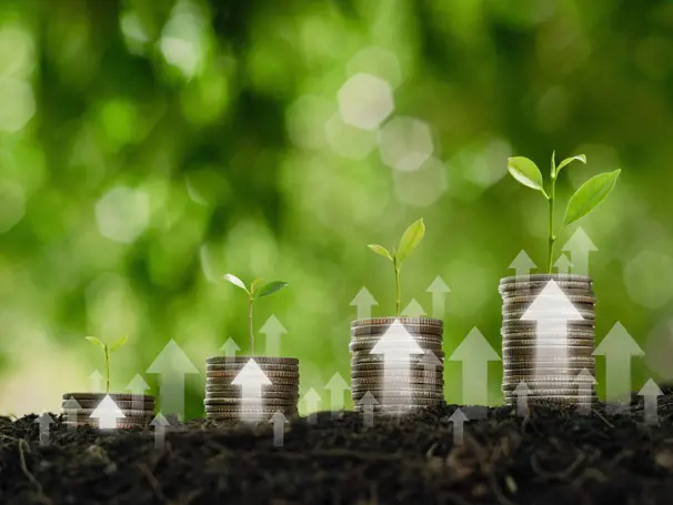 FCC Environment CEE Group achieves solid growth in 2024 despite economic headwinds 