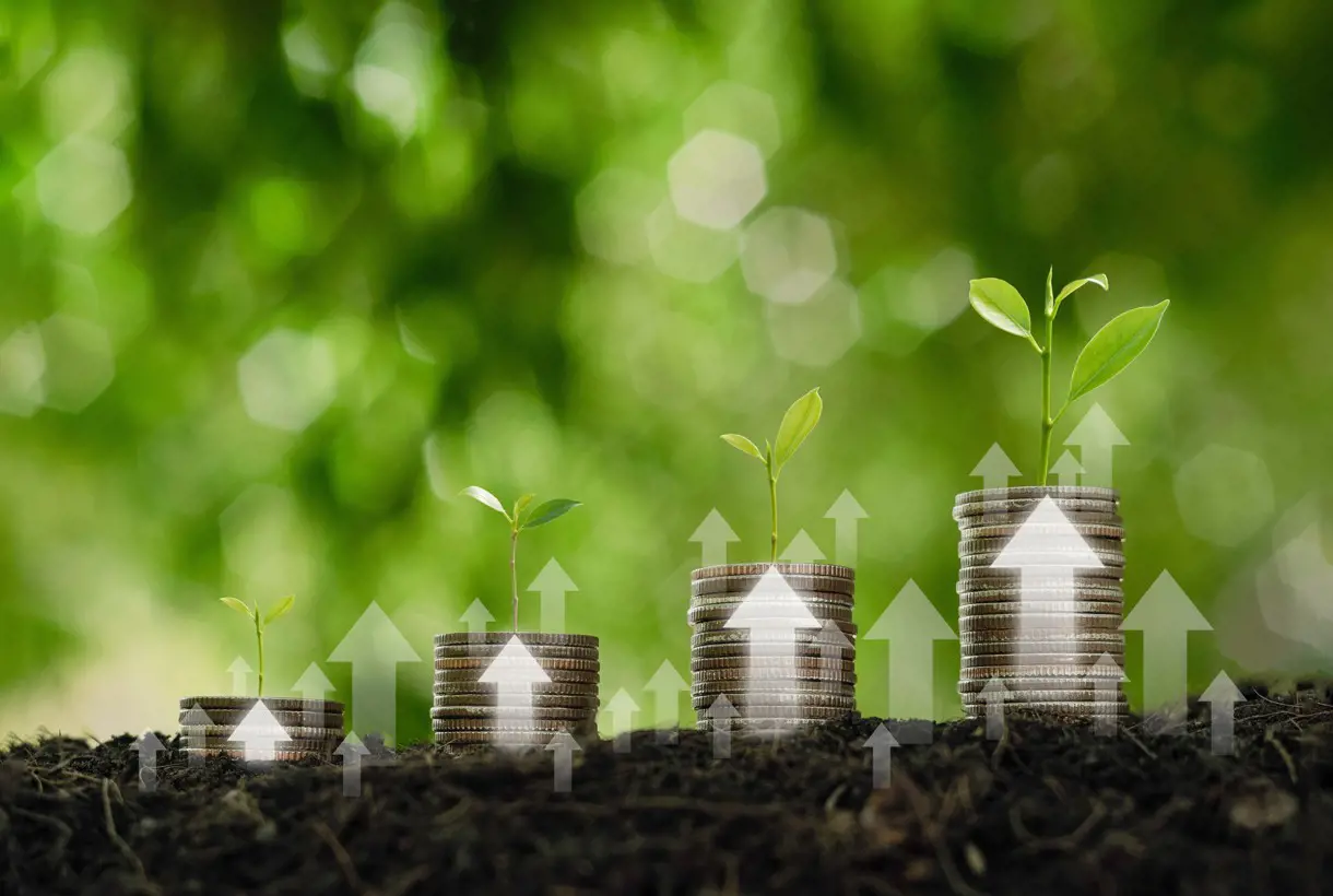 FCC Environment CEE Group achieves solid growth in 2024 despite economic headwinds 