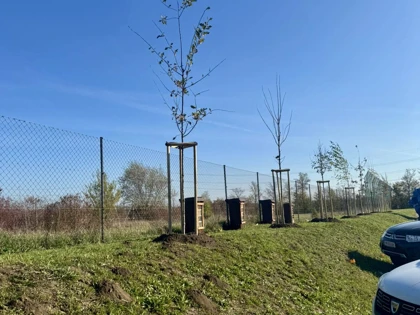 Continuing Our Green Event Strategy: Planting for a Sustainable Future