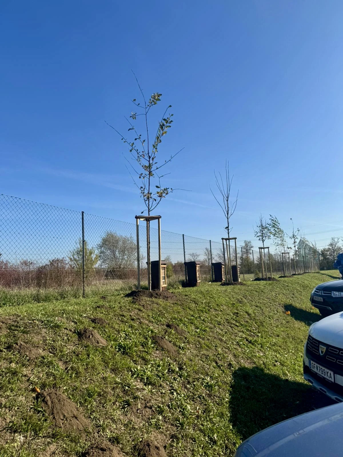 Continuing Our Green Event Strategy: Planting for a Sustainable Future