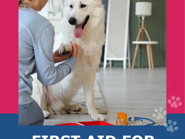 FIRST AID FOR ANIMALS – A Practical Guide for Dog and Cat Owners