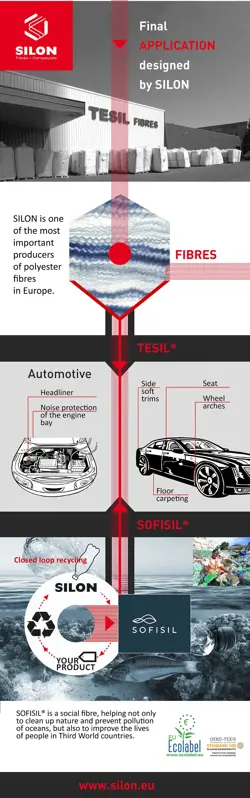 silon infographics