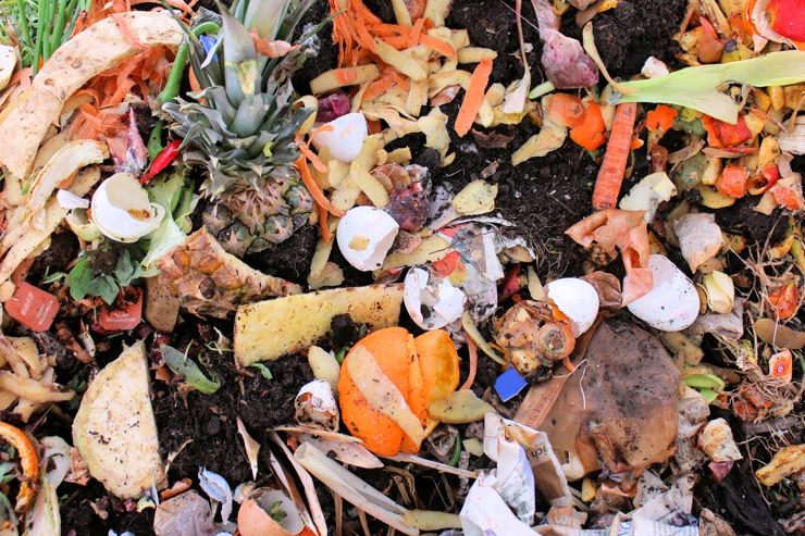 From biowaste to a valuable resource