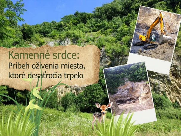 Kamenné srdce - 10 rokov od odstránenia toxickej skládky