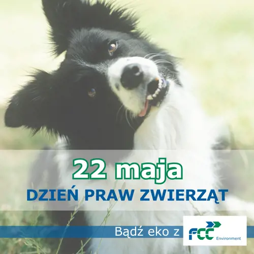 Numer alarmowy dla zwierząt!